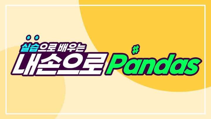 실습으로 배우는 내손으로 Pandas